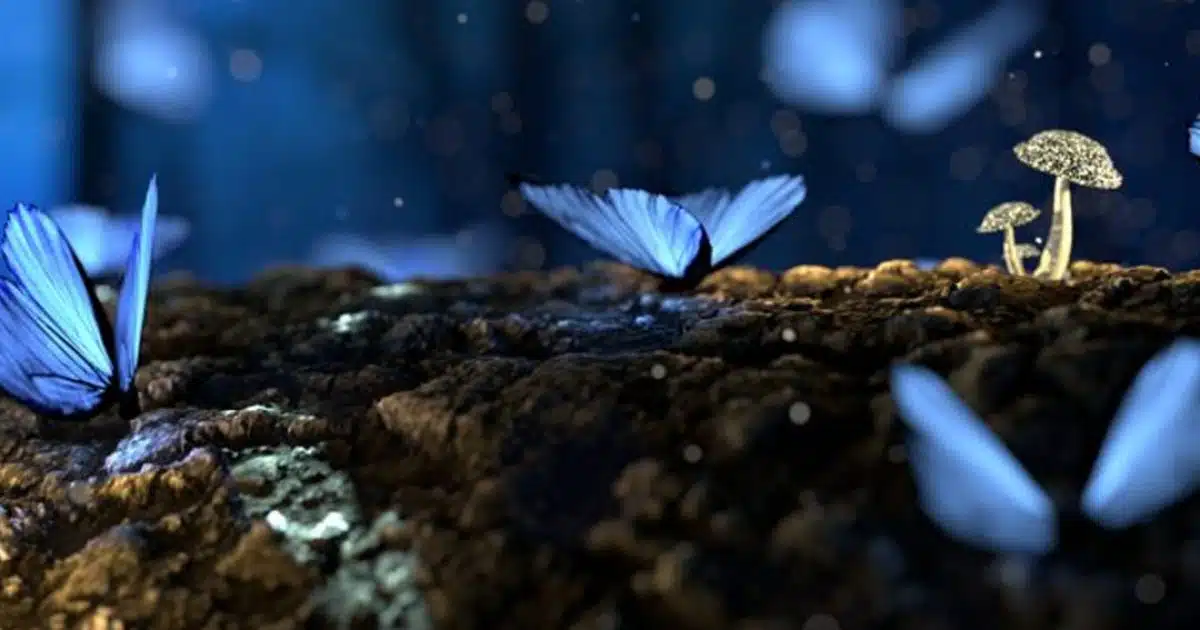 Les papillons sont des messagers spirituels. Voici ce qu’ils peuvent signifier pour vous