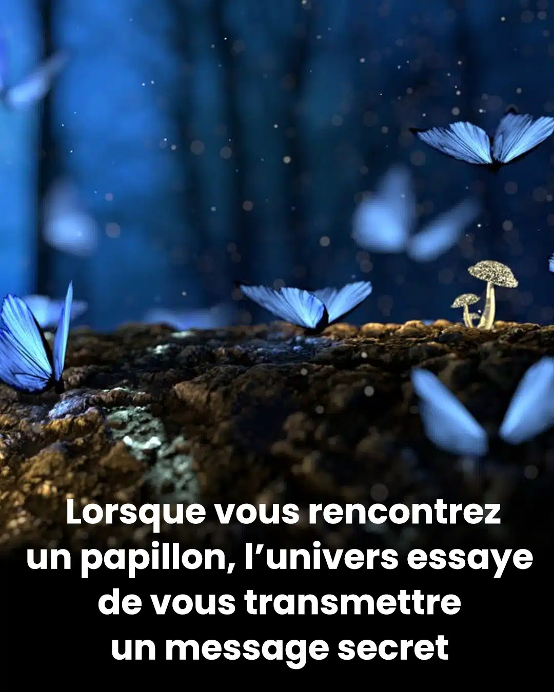 Les papillons sont des messagers spirituels. Voici ce qu’ils peuvent signifier pour vous