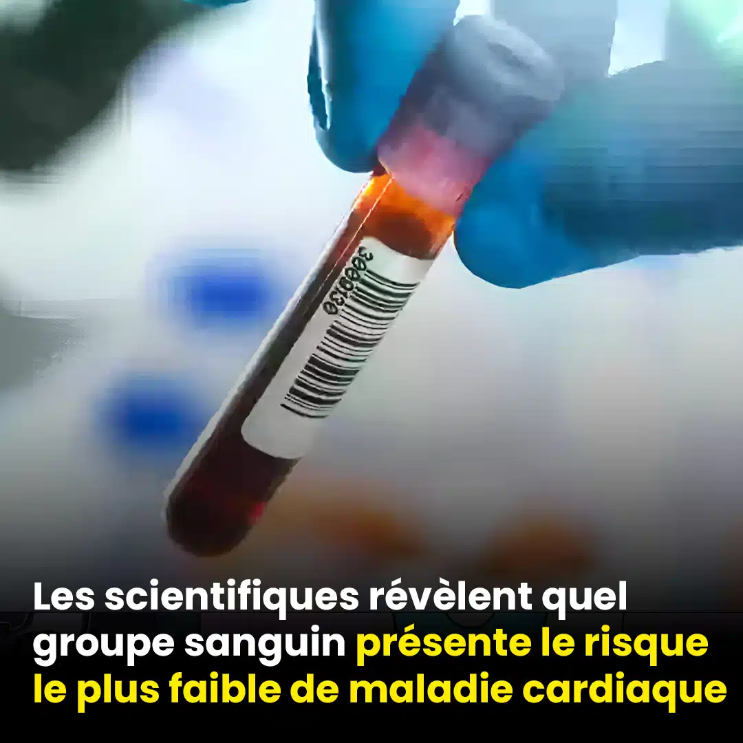 Les scientifiques révèlent le groupe sanguin qui présente le risque le plus faible de maladie cardiaque