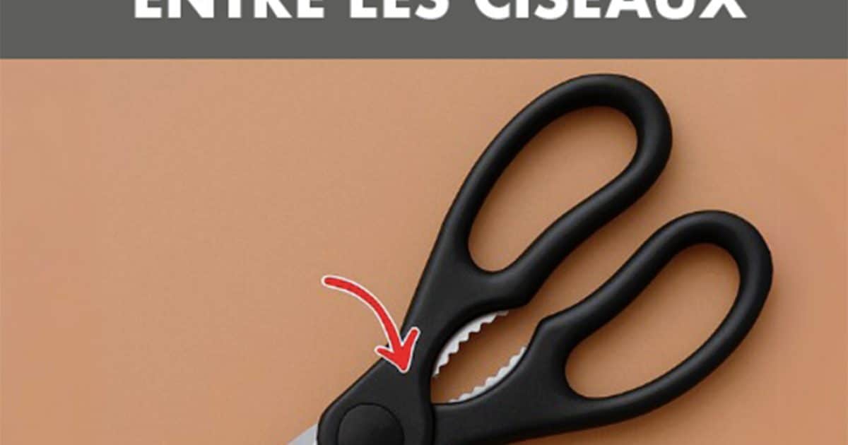 L'espace mystérieux dans les ciseaux : à quoi sert-il vraiment ?