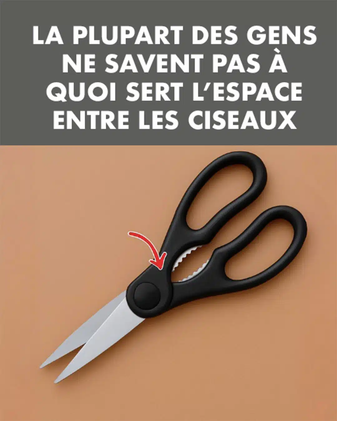 L'espace mystérieux dans les ciseaux : à quoi sert-il vraiment ?