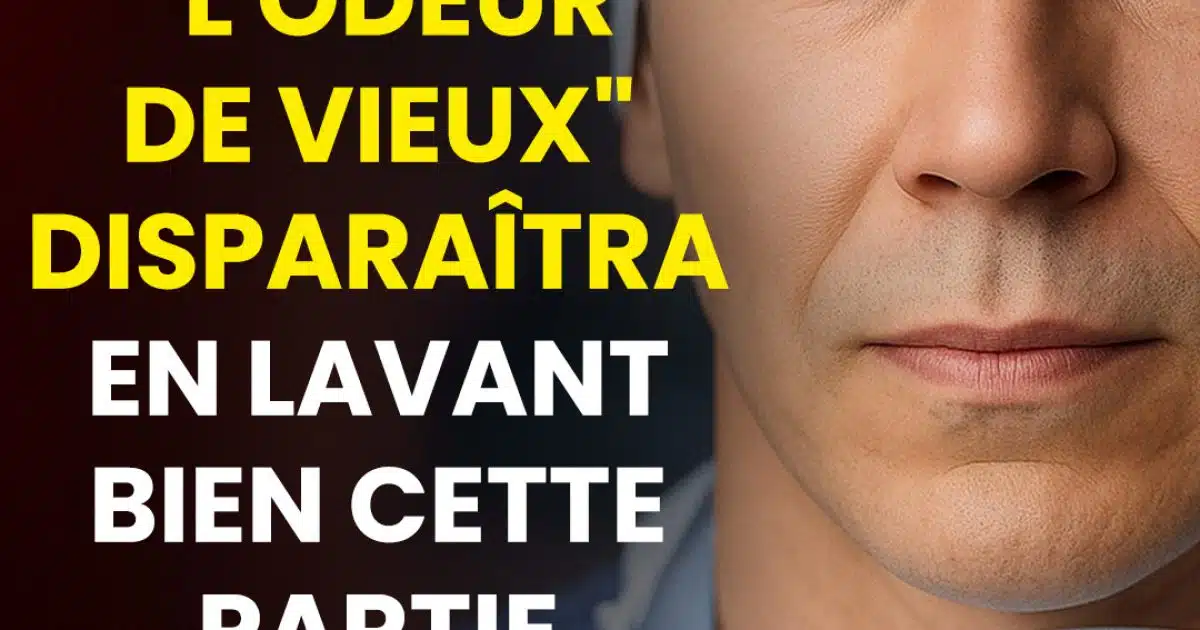 "L’odeur de vieux" causes, prévention et solutions durables