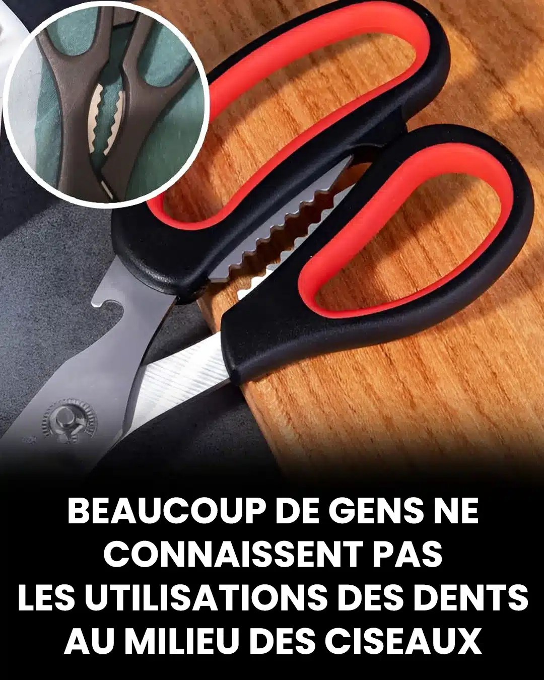 L’usage surprenant des dents métalliques entre les lames des ciseaux