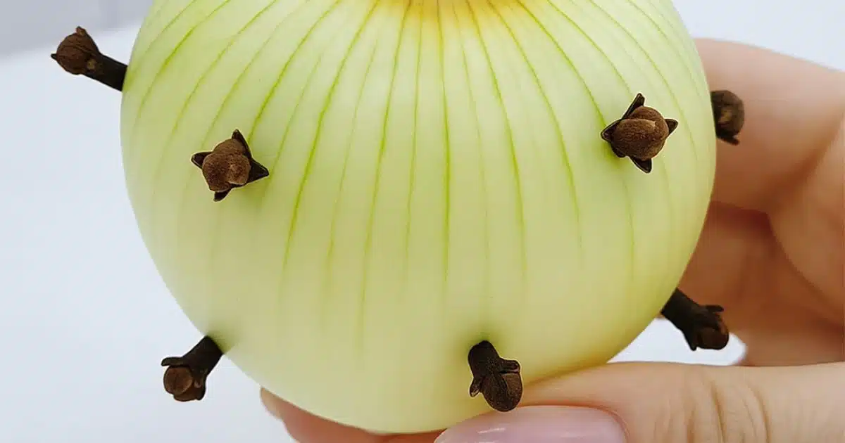 Ma grand-mère plante toujours des clous de girofle dans l’oignon et voici pourquoi