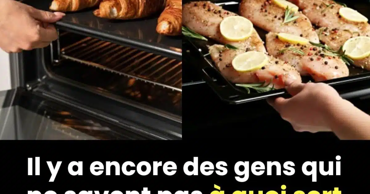Mais à quoi sert la plaque que l’on trouve dans le four ?