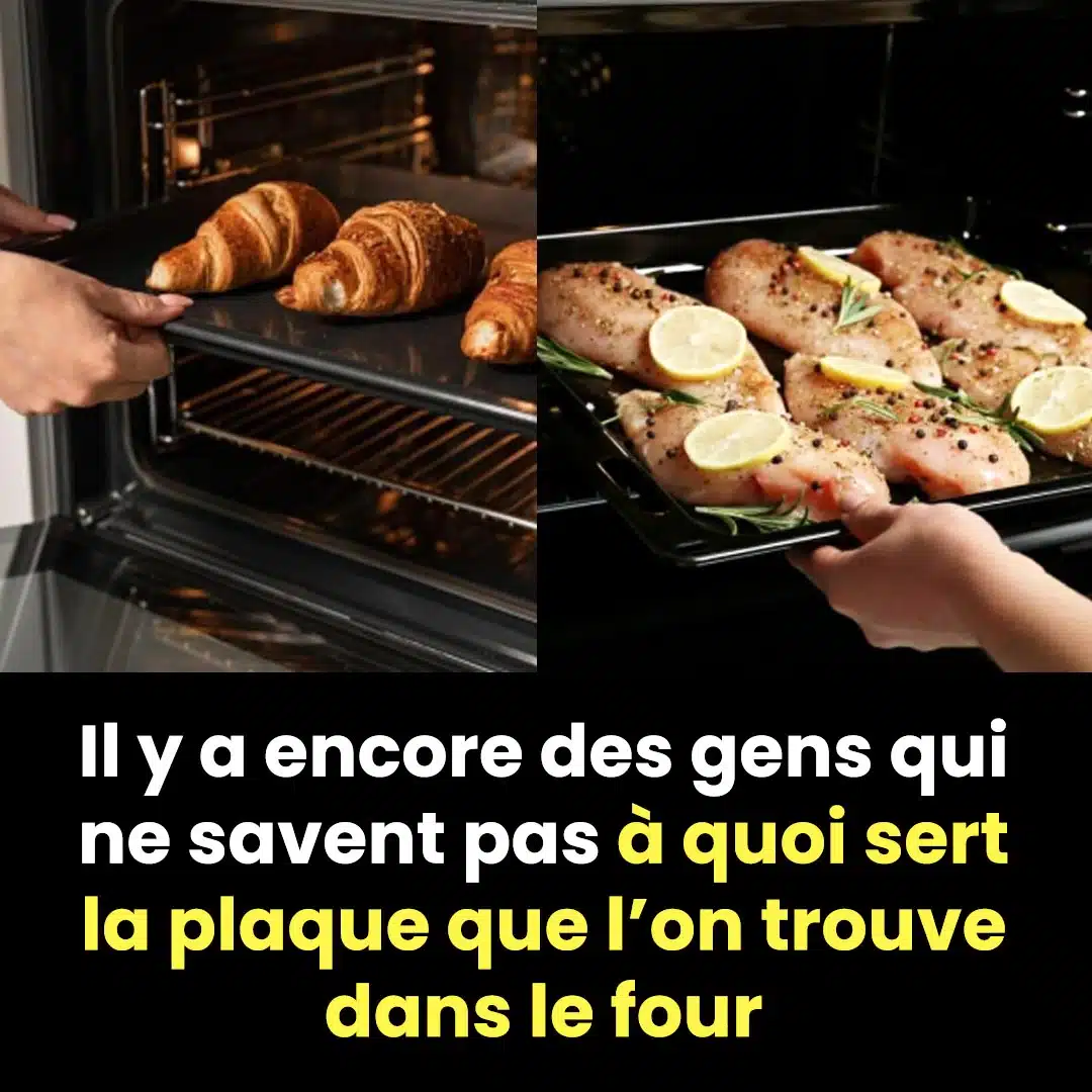 Mais à quoi sert la plaque que l’on trouve dans le four ?