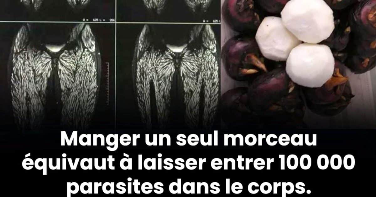 Manger une seule bouchée est déjà nocif, mais beaucoup le mangent encore sans inquiétude