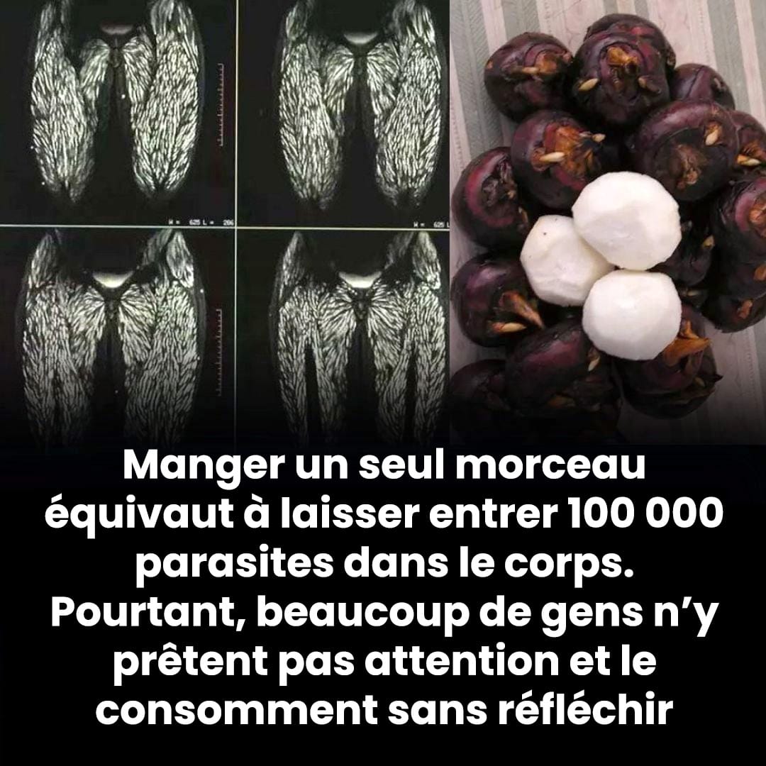 Manger une seule bouchée est déjà nocif, mais beaucoup le mangent encore sans inquiétude