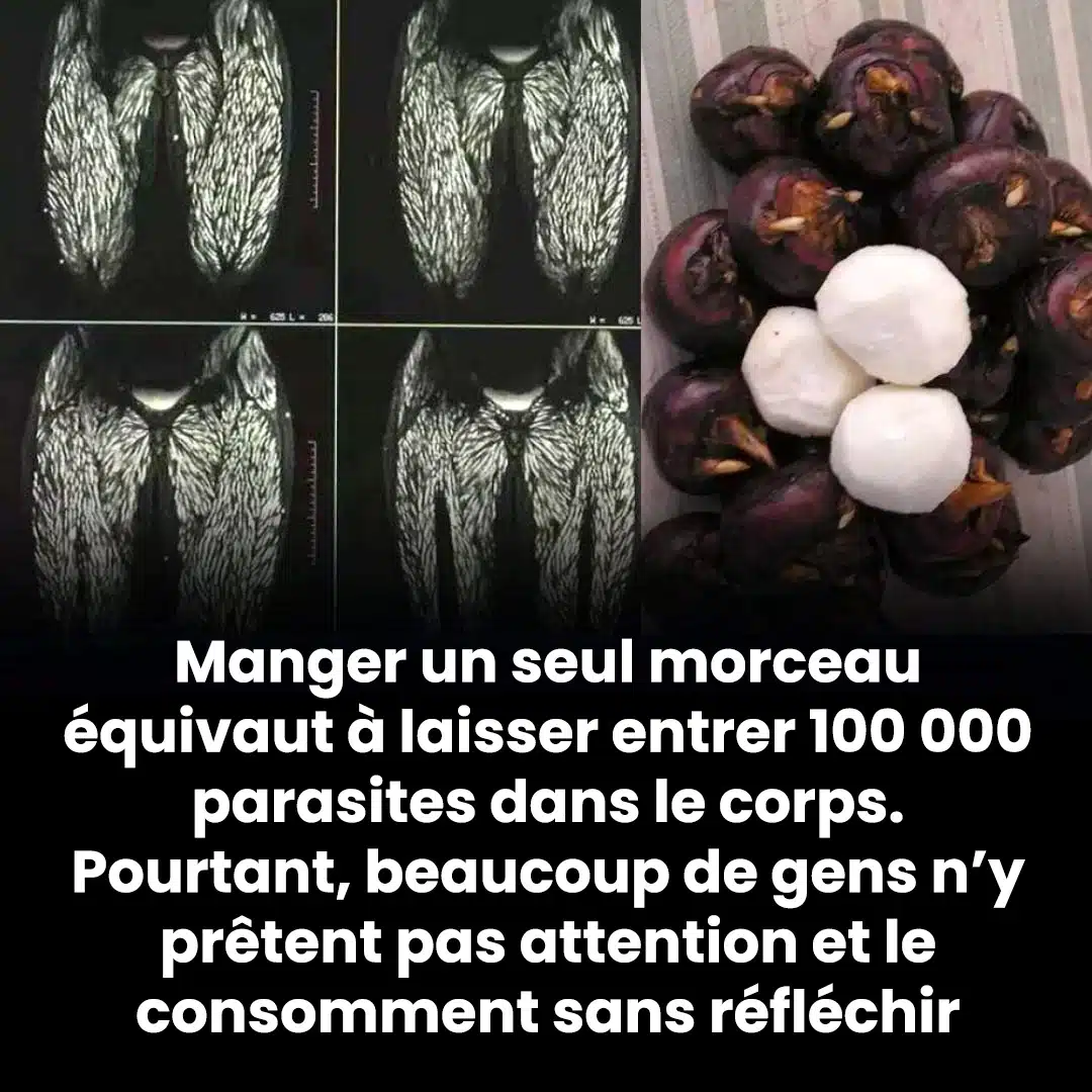 Manger une seule bouchée est déjà nocif, mais beaucoup le mangent encore sans inquiétude