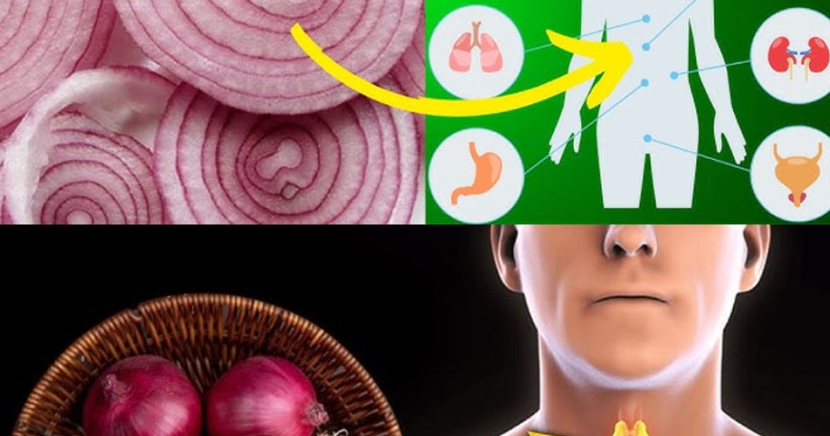 Mangez des oignons rouges tous les jours et regardez ce qui se passe