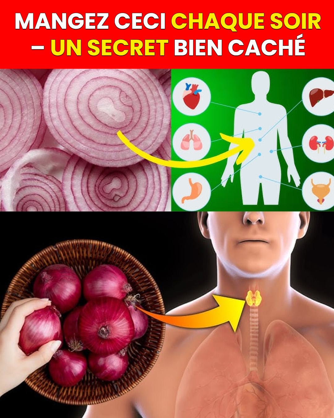 Mangez des oignons rouges tous les jours et regardez ce qui se passe