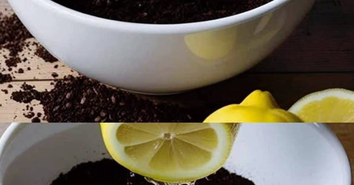 Marc de café et citron : les bienfaits de ce mélange