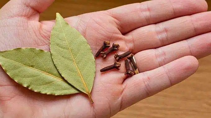 Mélange d'épices et de feuilles séchées pour une huile capillaire maison