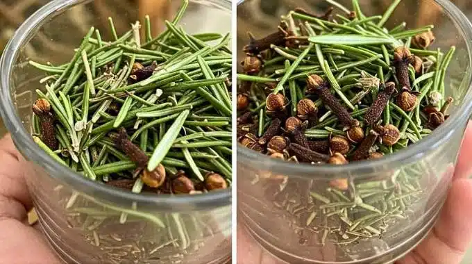 Mélange de romarin frais et de clous de girofle dans un mortier en bois