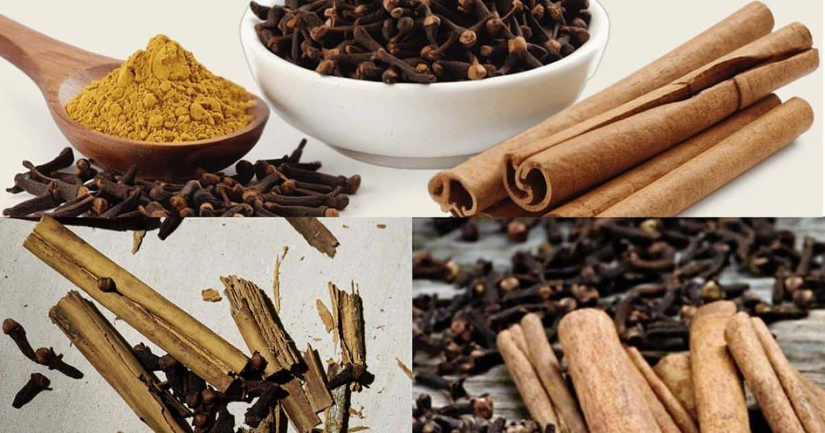 Mélanger les clous de girofle avec la cannelle : d'incroyables bienfaits pour la santé
