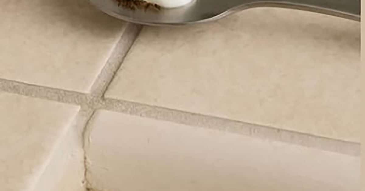 Mettez ceci dans votre maison pendant 1 heure et vous ne reverrez plus jamais de mouches, de moustiques ou de cafards