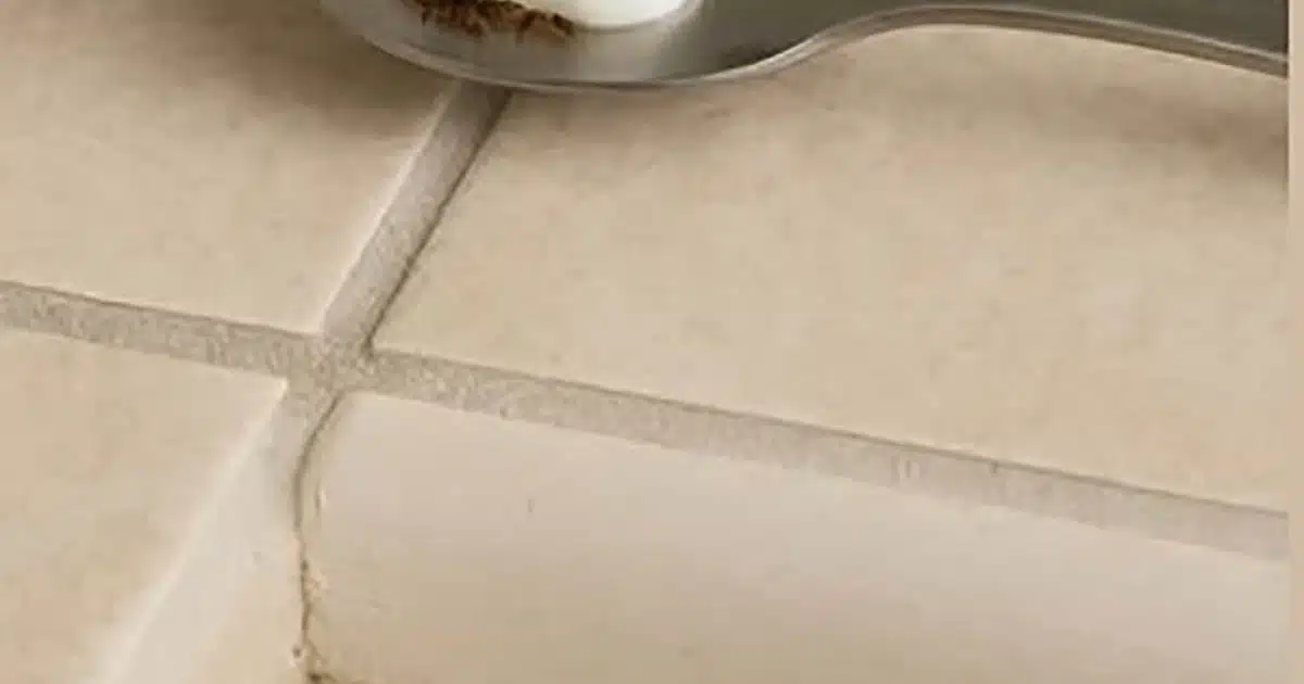 Mettez ceci dans votre maison pendant 1 heure et vous ne reverrez plus jamais de mouches, de moustiques ou de cafards