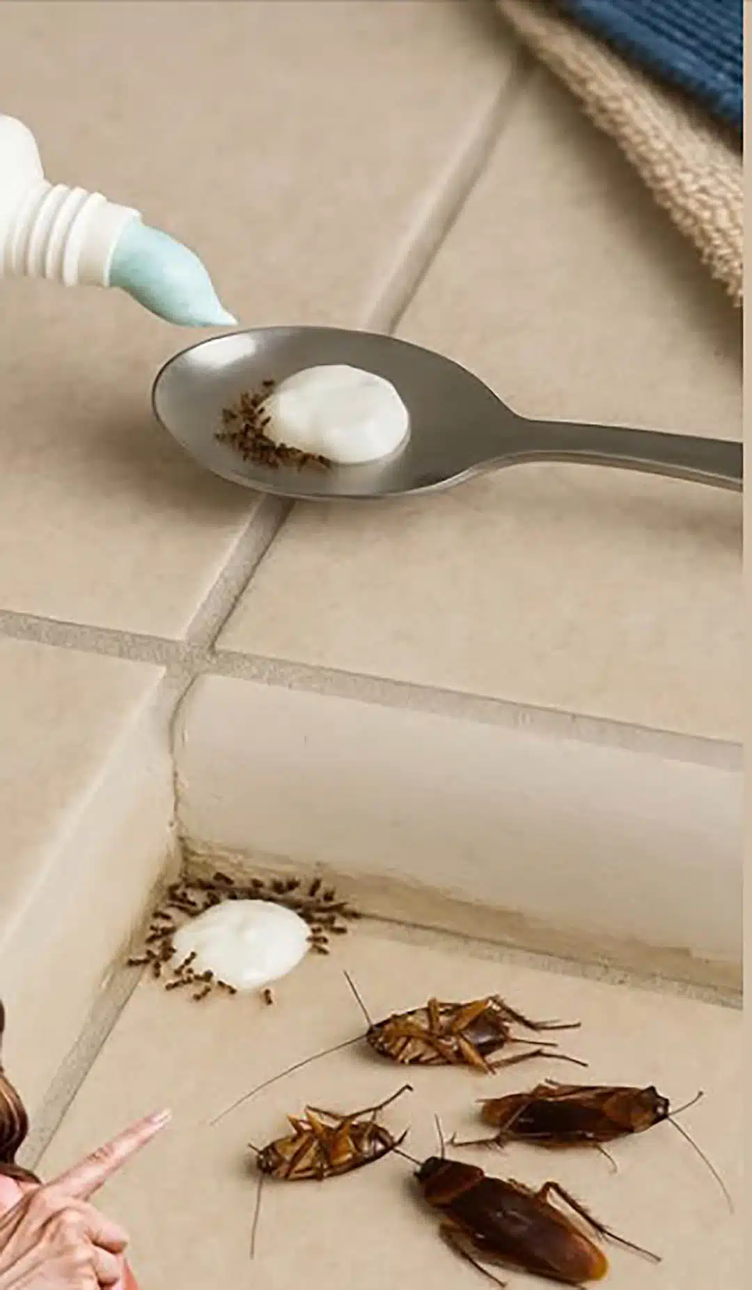 Mettez ceci dans votre maison pendant 1 heure et vous ne reverrez plus jamais de mouches, de moustiques ou de cafards