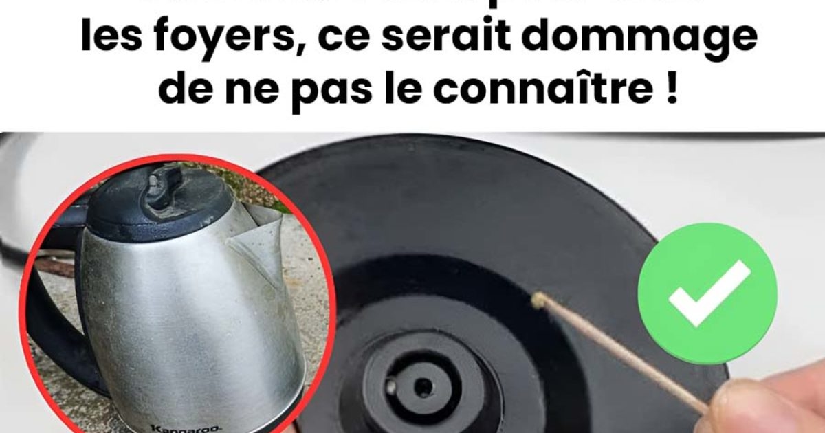 Mettez un cure-dent dans une bouilloire et voyez ce qu’il se passe