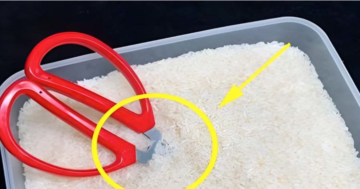 Mettre une paire de ciseaux dans du riz peut offrir de nombreux avantages