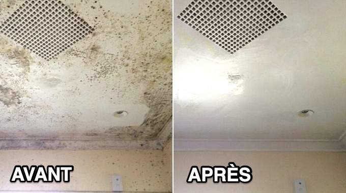 Expert en traitement de l'humidité