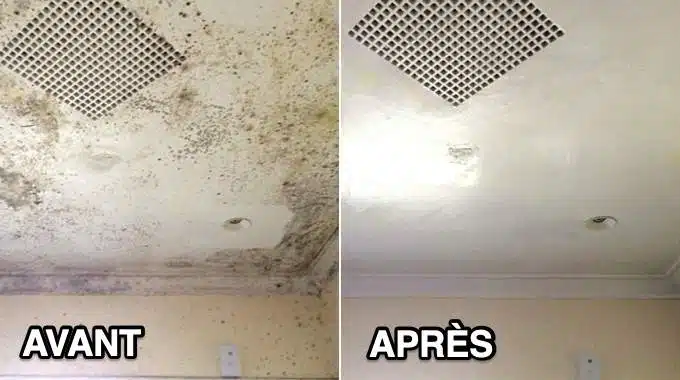 Expert en traitement de l'humidité