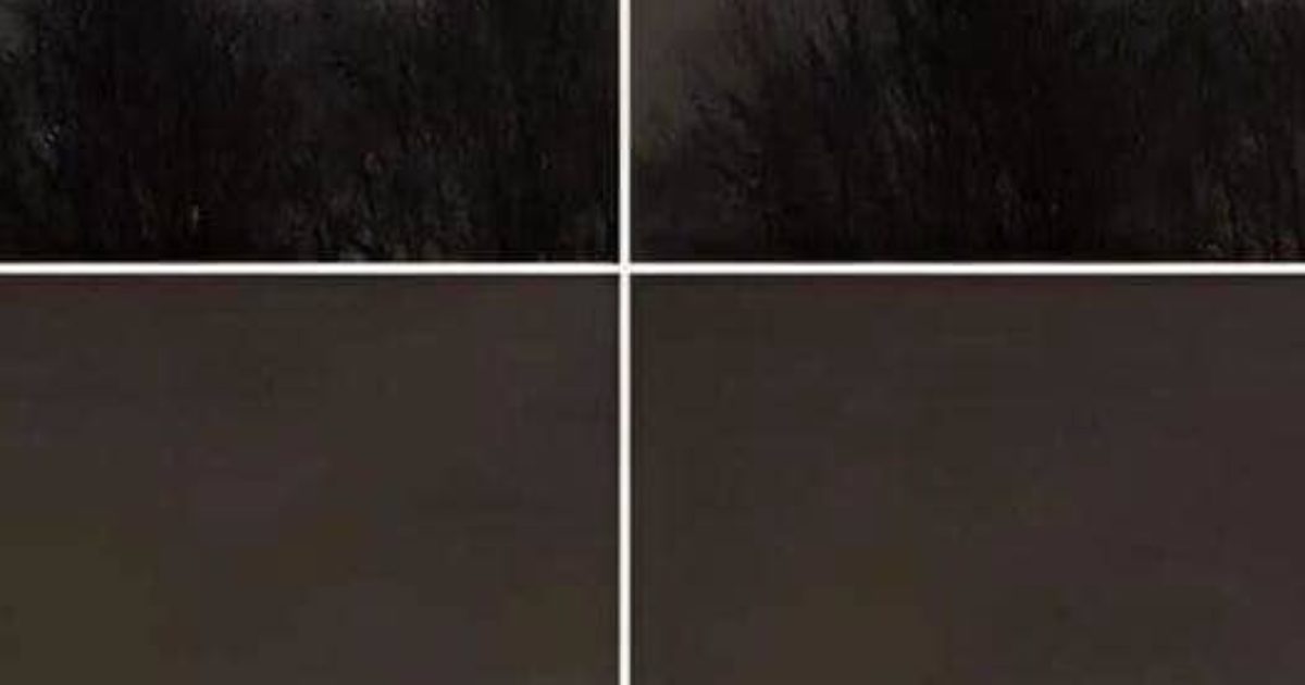Mon frère a pris cette photo à environ 21 km de chez nous : avez-vous une idée de ce que cela pourrait être ?