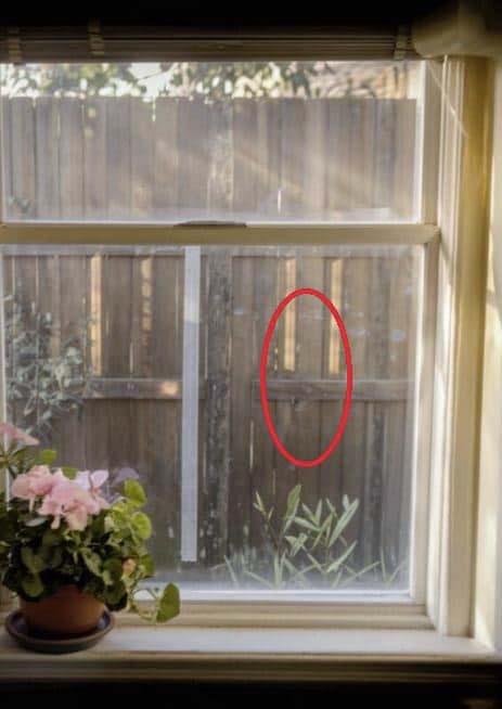 Mon voisin a installé une clôture dans mon jardin et bloqué mes fenêtres pendant mon absence