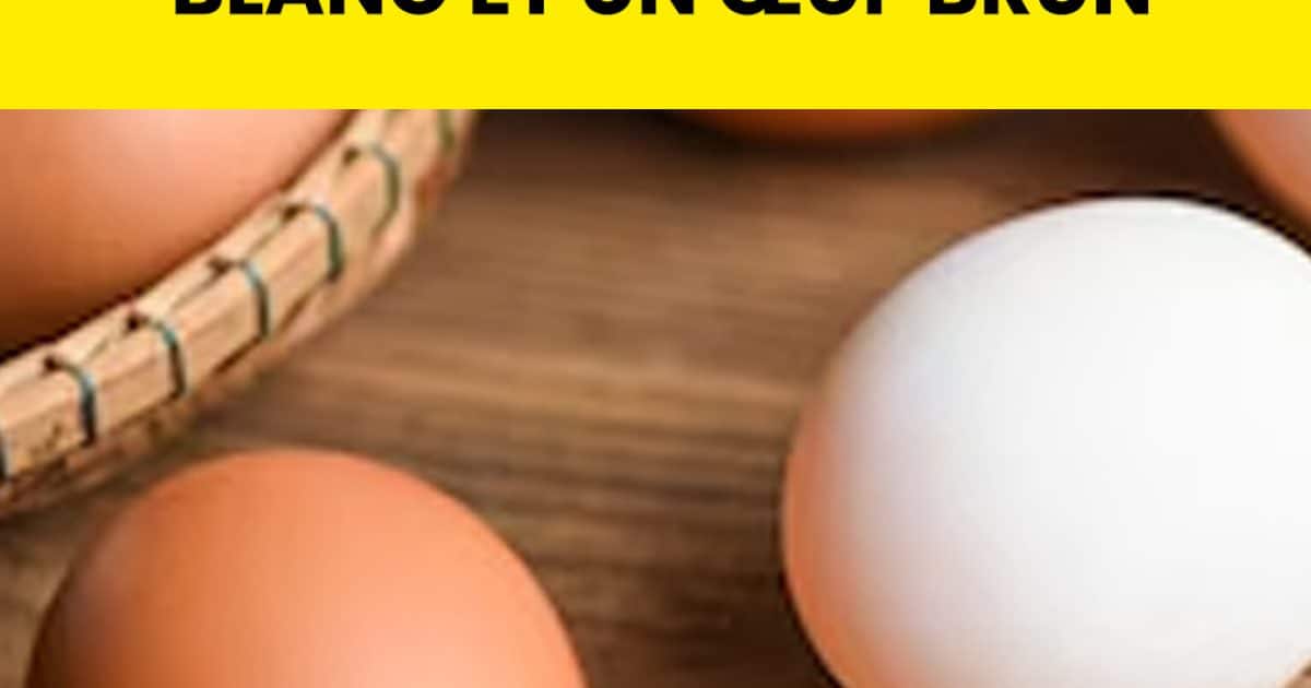 Œufs blancs ou bruns : quelles différences ?