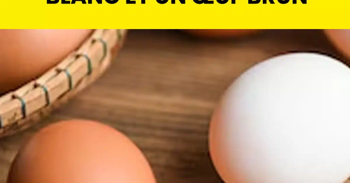 Œufs blancs ou bruns : quelles différences ?