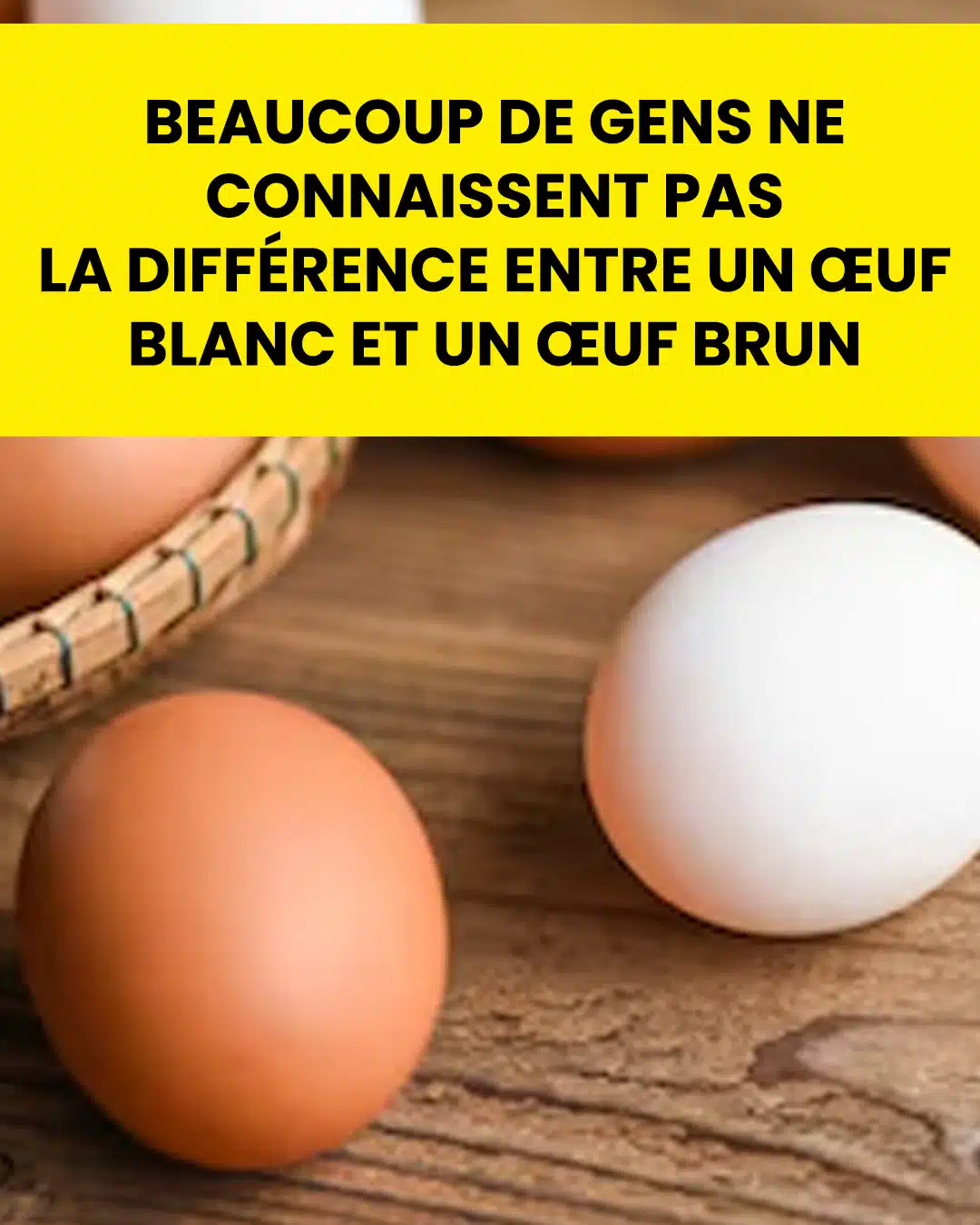 Œufs blancs ou bruns : quelles différences ?
