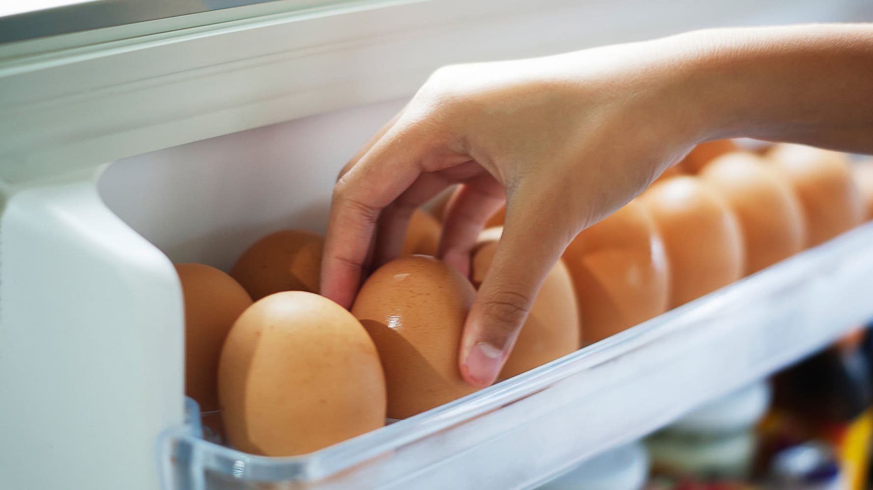 Oeufs au réfrigirateur 
