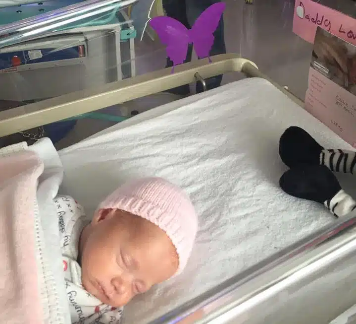 Autocollant papillon violet posé sur une surface