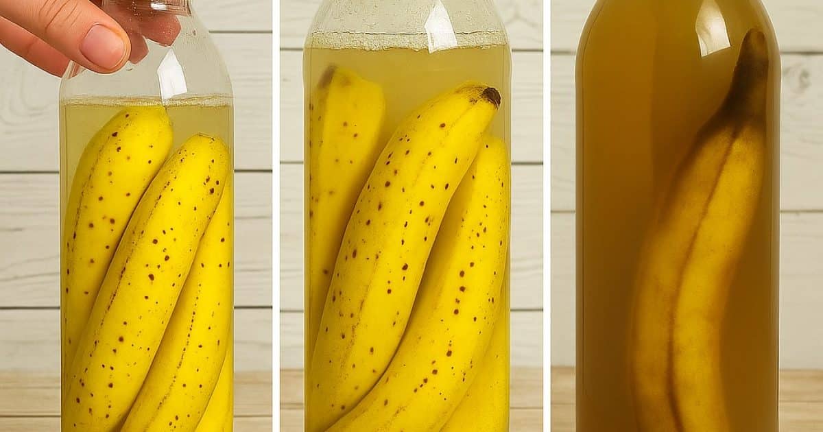 Peaux de banane : mettez-les dans une bouteille. En les utilisant de cette manière, vous ne les jetterez plus jamais