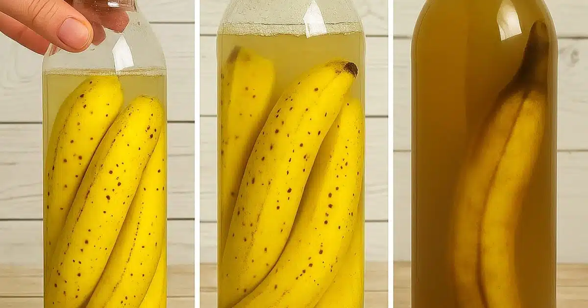Peaux de banane : mettez-les dans une bouteille. En les utilisant de cette manière, vous ne les jetterez plus jamais