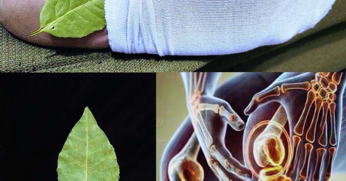 Placez une feuille de laurier sous vos pieds et observez les effets