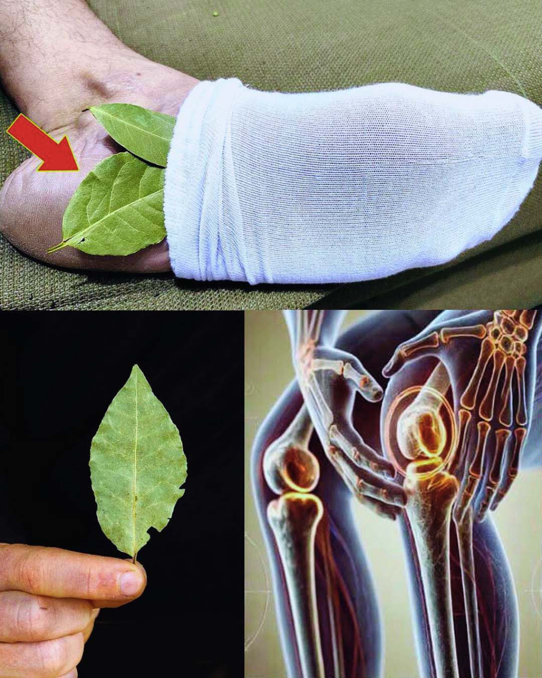 Placez une feuille de laurier sous vos pieds et observez les effets