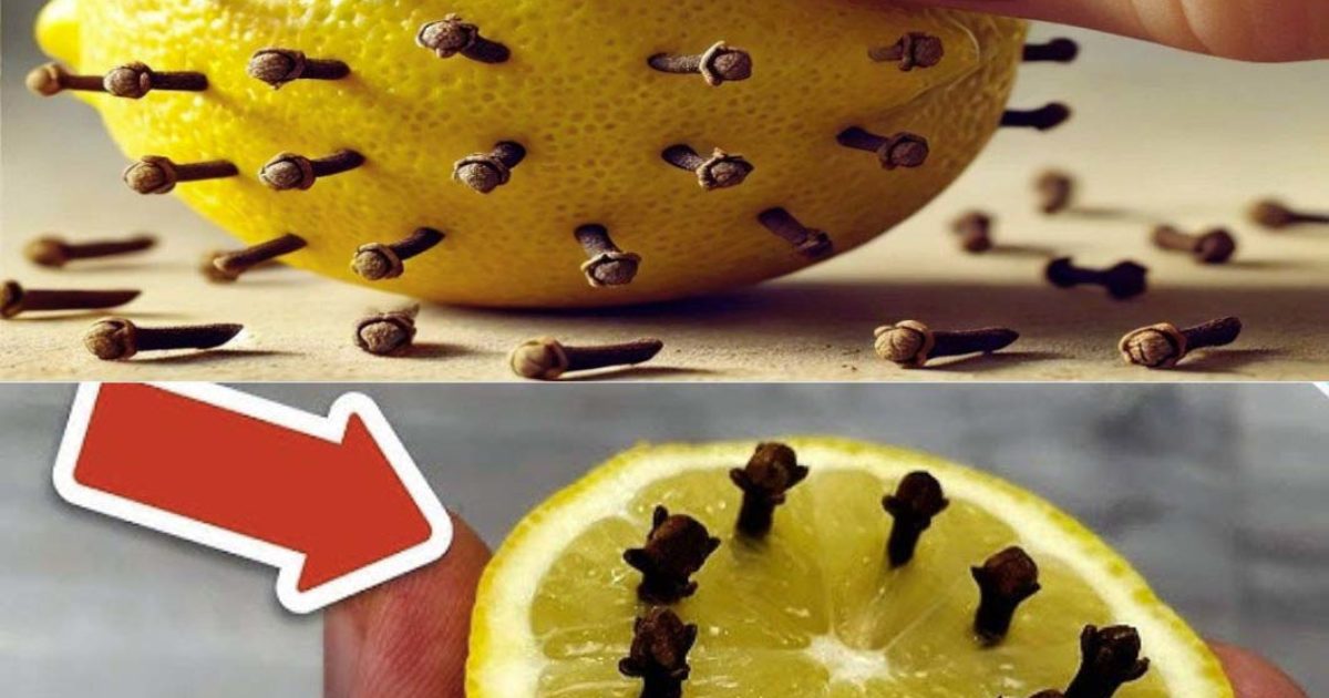 Plantez des clous de girofle dans un citron et transformez votre intérieur : une astuce qui fait toute la différence !