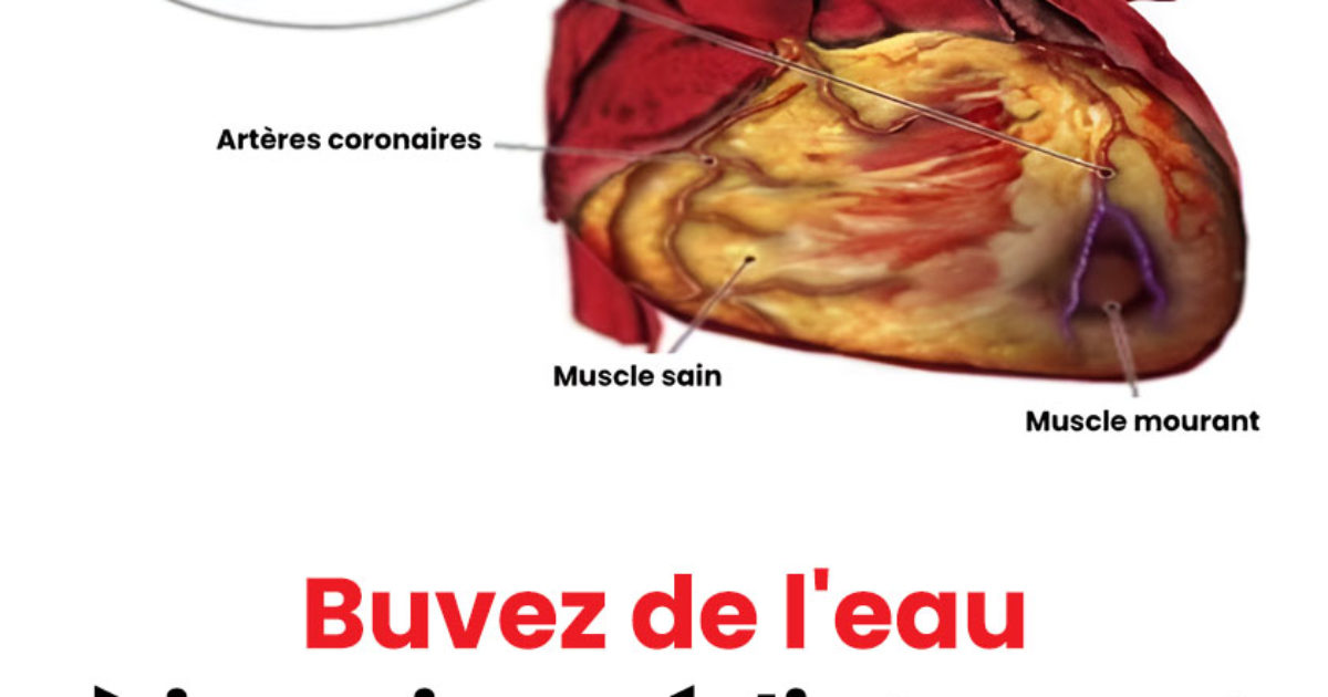 Pourquoi boire de l’eau le matin ?