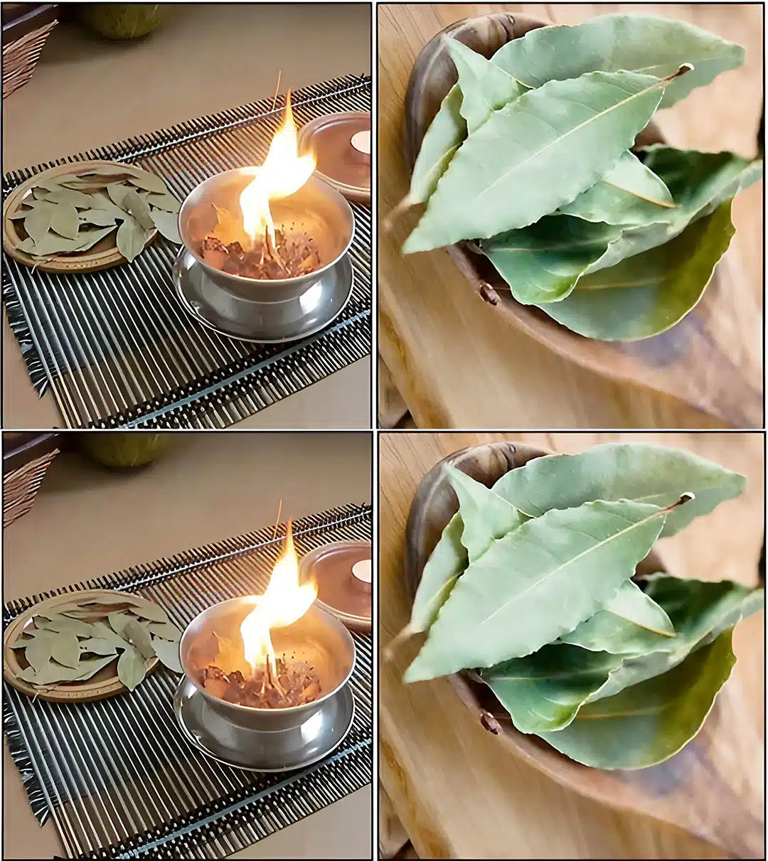 Pourquoi brûler des feuilles de laurier à la maison ?