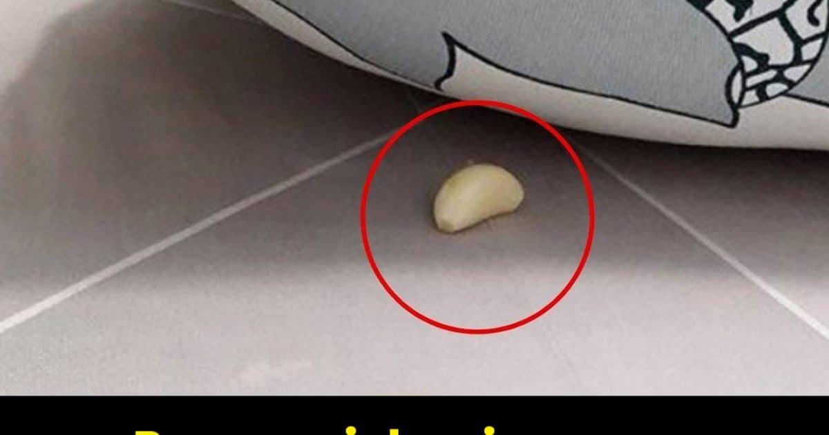 Pourquoi devrait-on placer de l'ail sous l'oreiller lorsqu'on dort la nuit ?