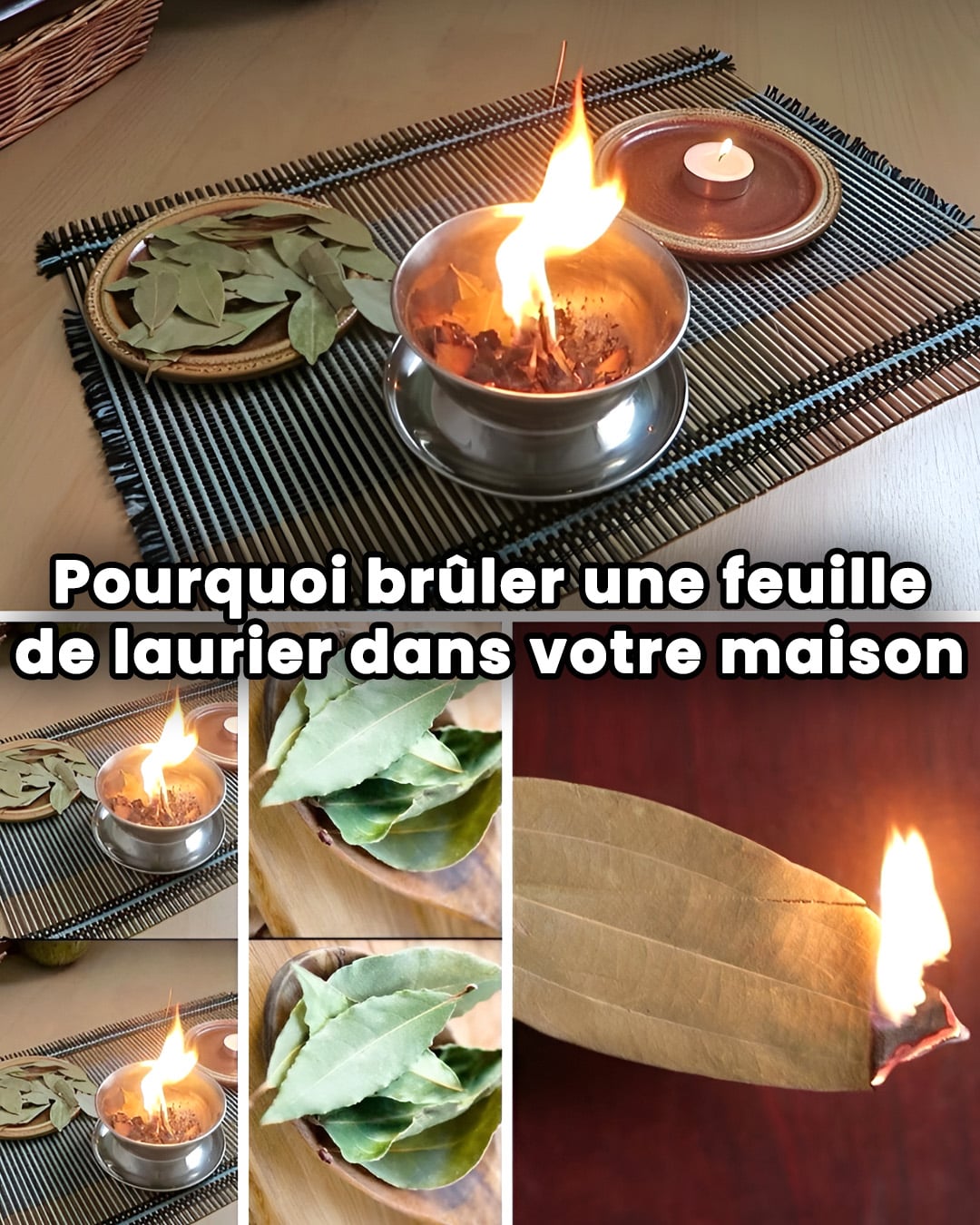 Pourquoi devriez-vous brûler une feuille de laurier à la maison ?