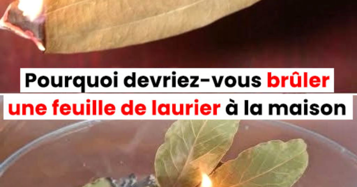 Pourquoi devriez-vous brûler une feuille de laurier à la maison ?
