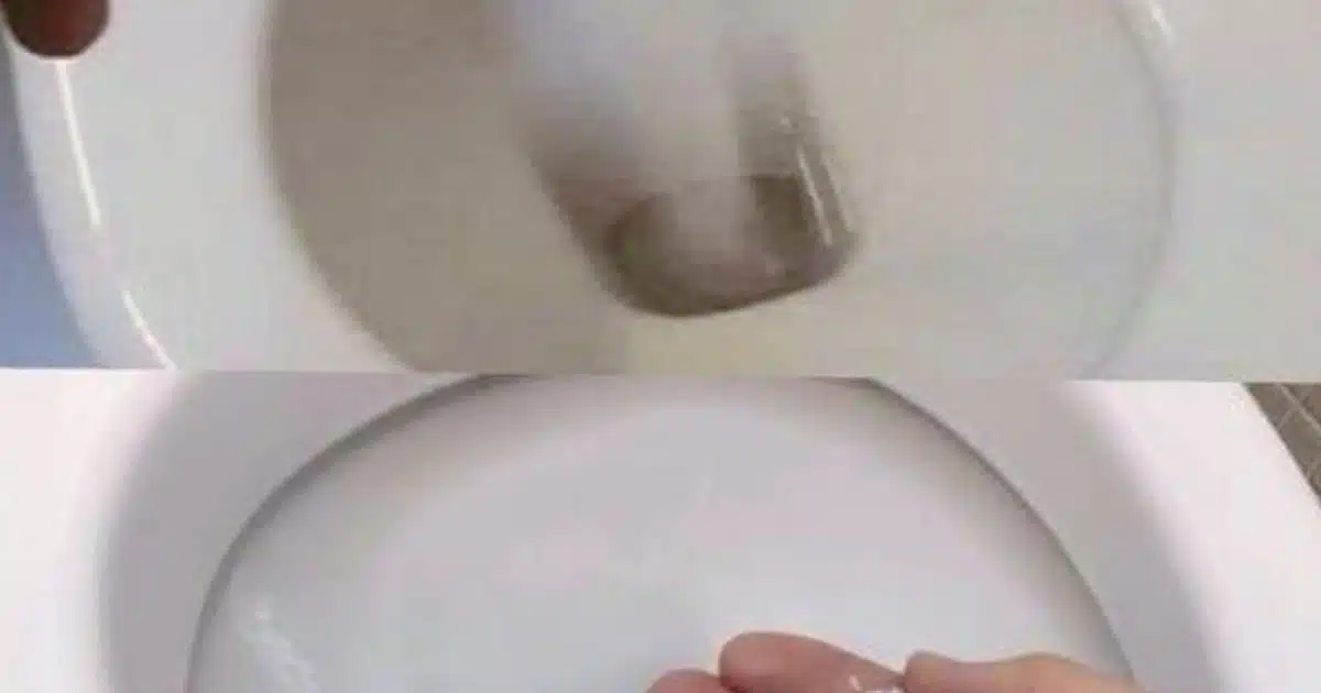 Pourquoi est-il bon de mettre du sel dans les WC ?