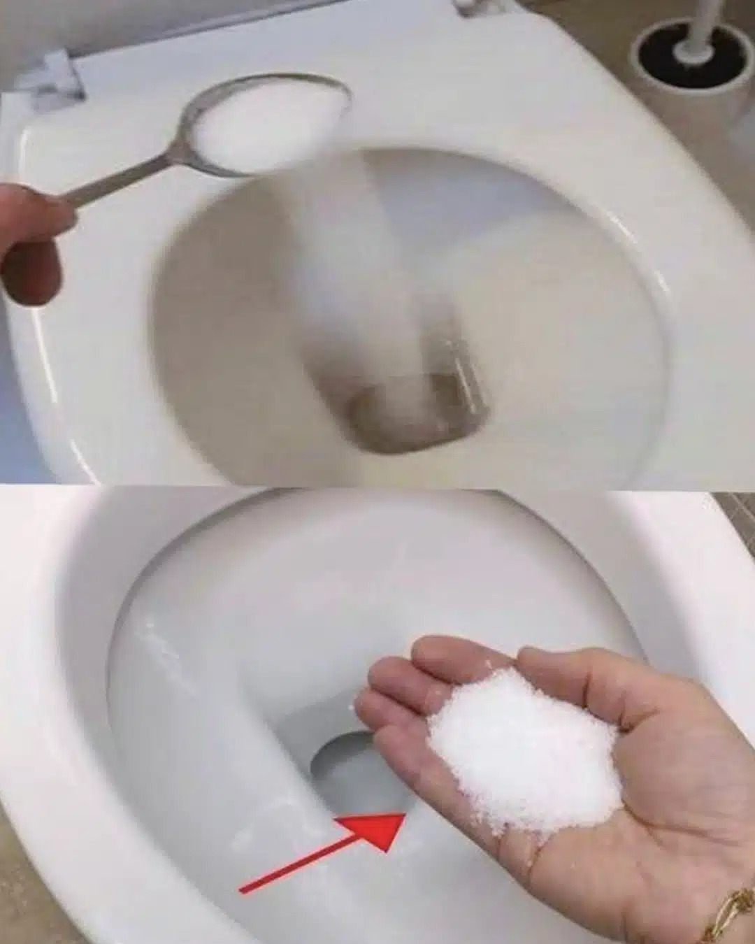 Pourquoi est-il bon de mettre du sel dans les WC ?