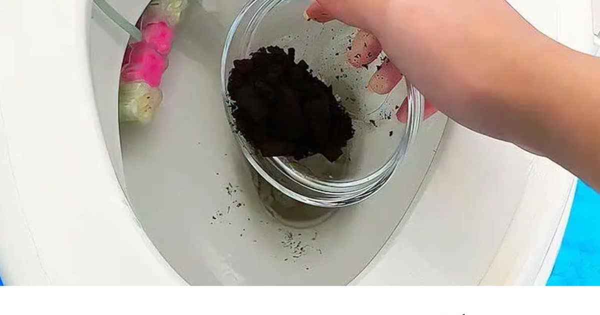 Pourquoi est il bon de verser du marc de café dans les WC ?