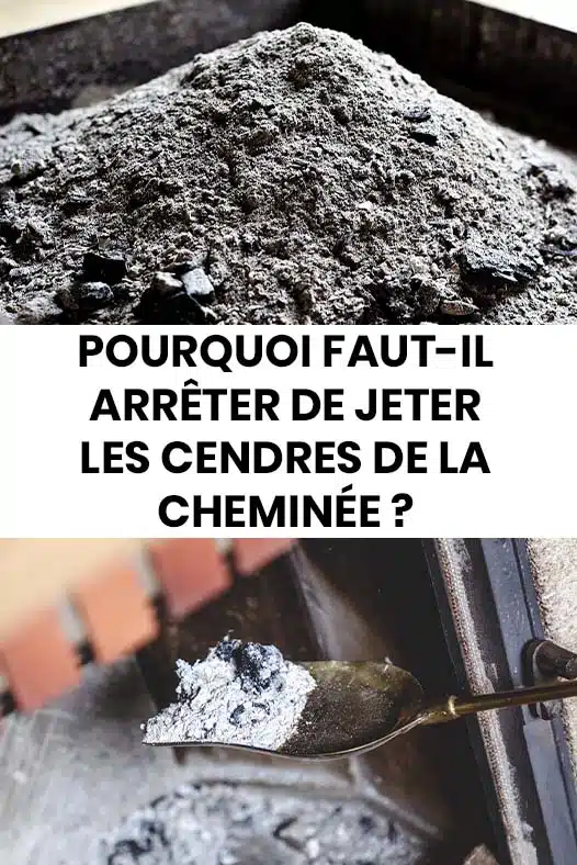 Pourquoi est-il important de ne pas jeter les cendres de cheminée ?