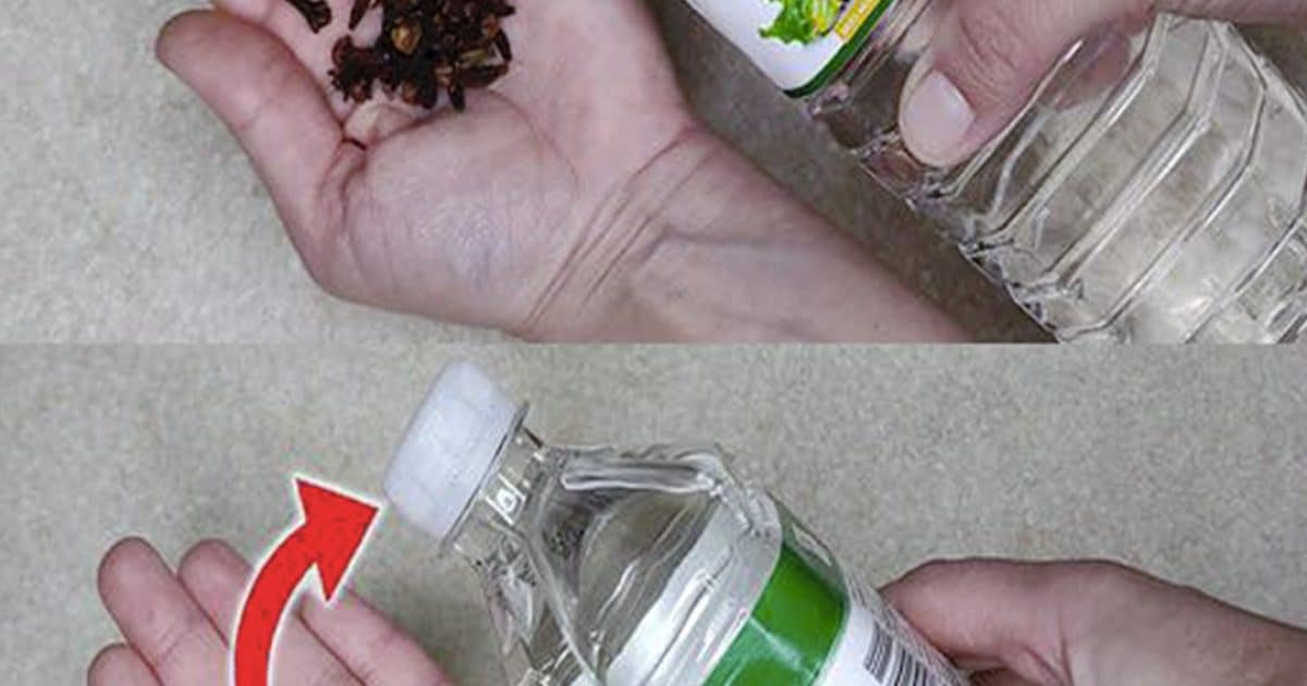 Pourquoi faut-il mettre des clous de girofle dans du vinaigre