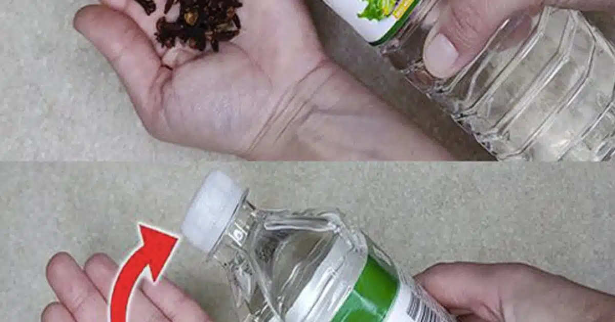 Pourquoi faut-il mettre des clous de girofle dans du vinaigre
