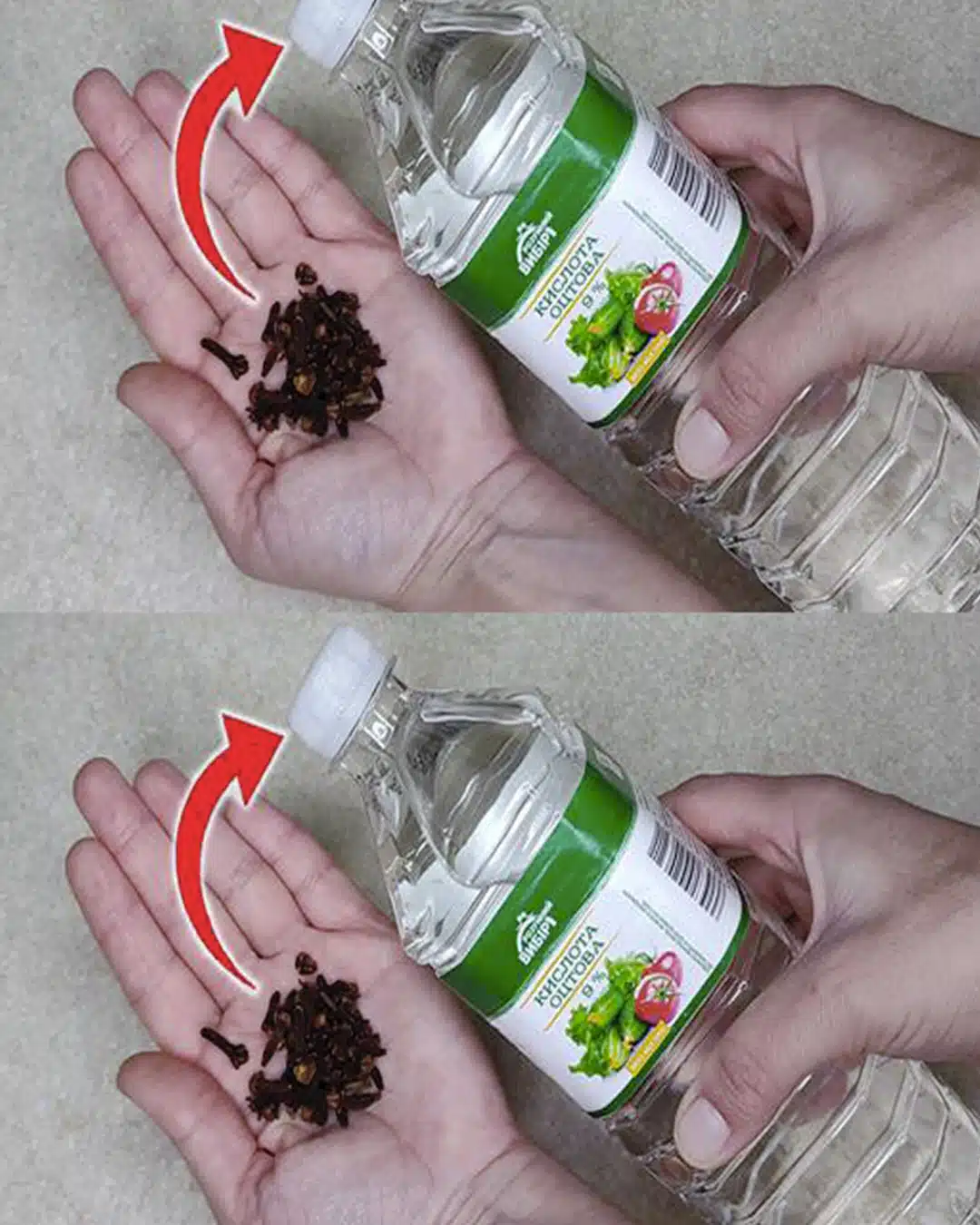 Pourquoi faut-il mettre des clous de girofle dans du vinaigre